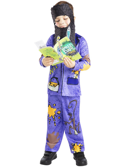 Mr. Twit  Roald Dahl Costume