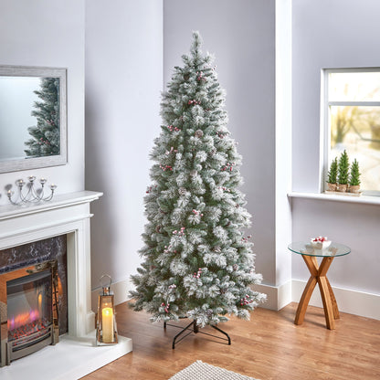 6.5ft Pre Lit Frosted Calgary Pine Tree with 400 Warm White LEDs