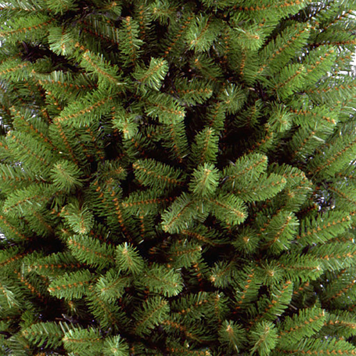 6.5ft Kingswood Fir Slim Pencil Christmas Tree