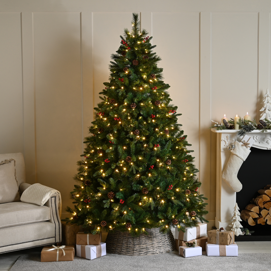 8ft Pre Lit Ben Nevis Pine Christmas Tree with 480 Warm White LEDs