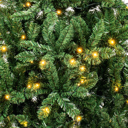 6ft Pre Lit Douglas Fir Artificial Christmas Tree with 180 Warm White LEDs