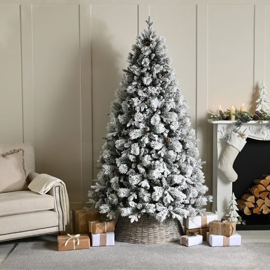 8ft Bishop Pine with Pinecones Snow Flocked Christmas Tree